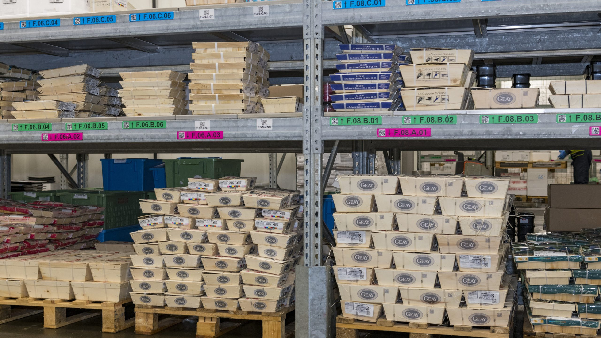 Logistiek
