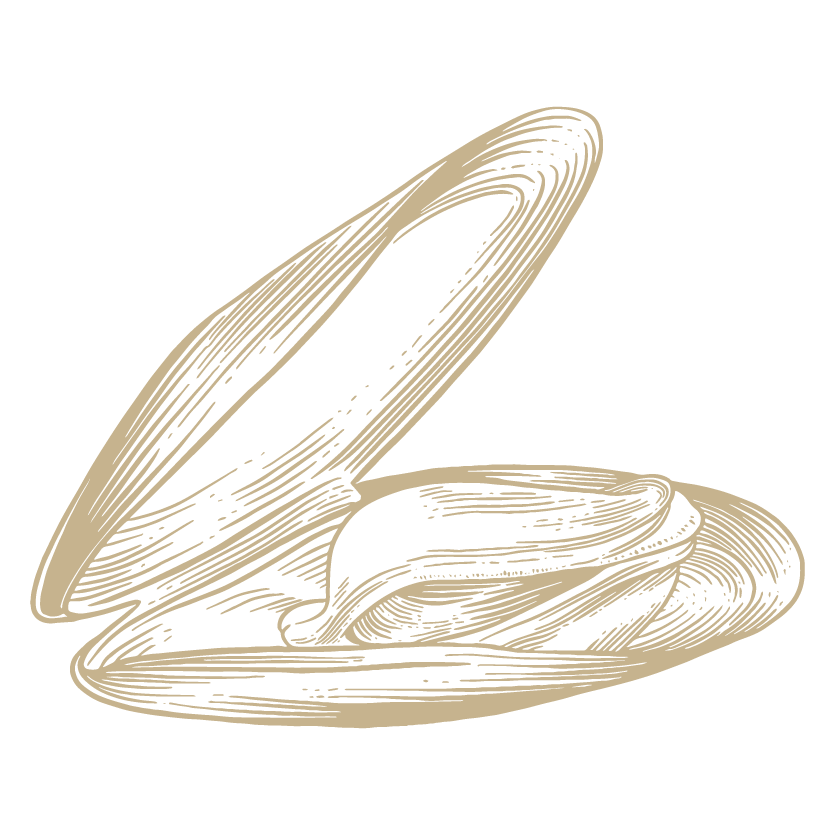 Mosselschelp