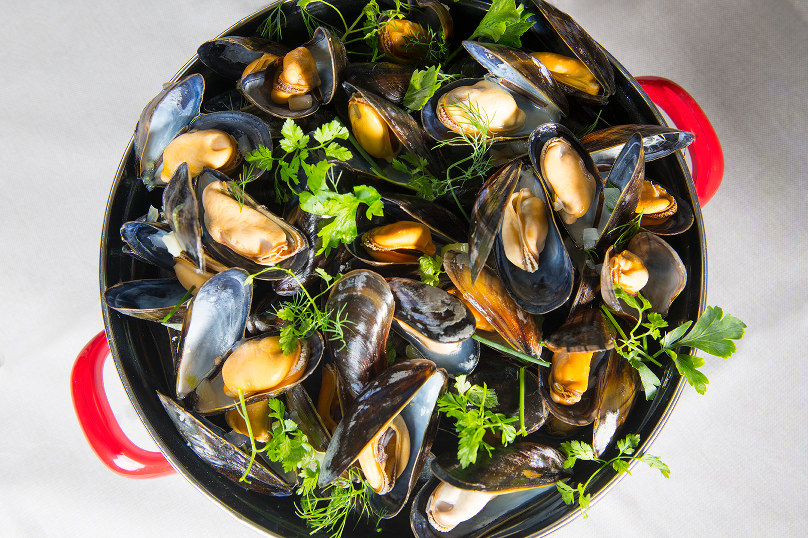 Mejillones del mayorista de mejillones Adri and Son