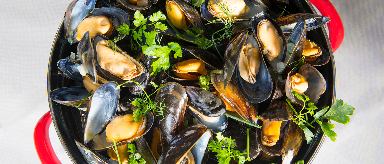 Mejillones del mayorista de mejillones Adri and Son