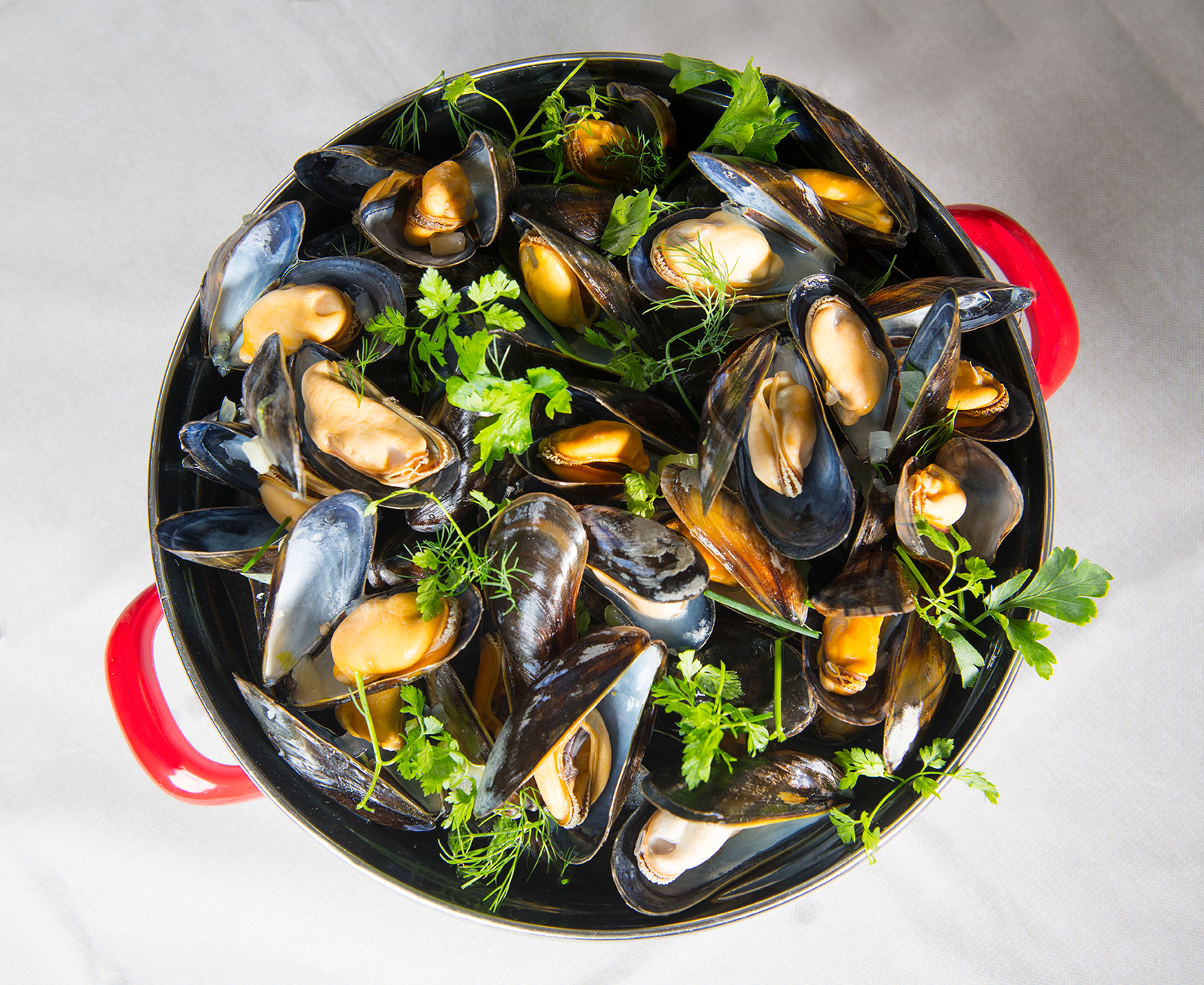 Mejillones del mayorista de mejillones Adri and Son