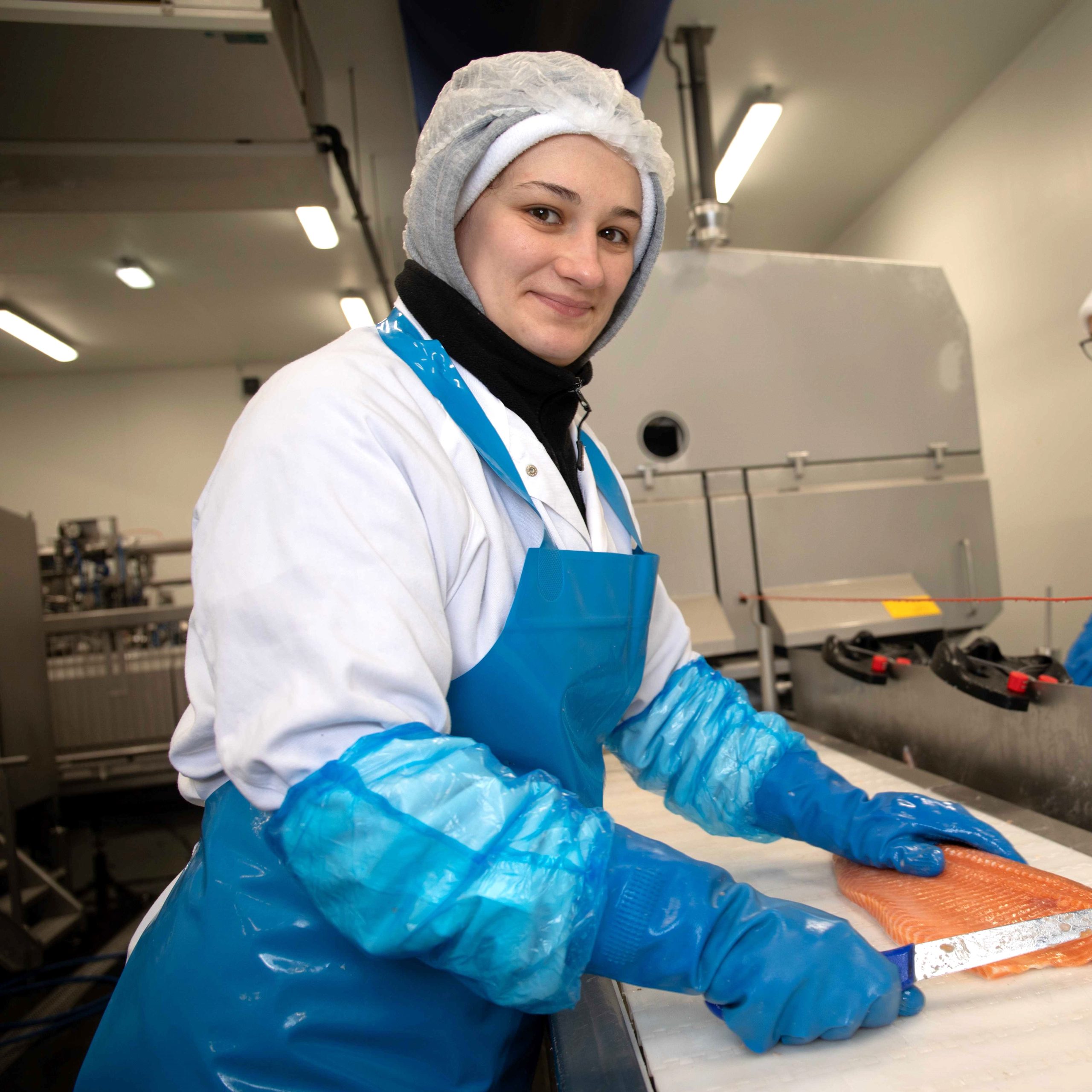 vacature visfileerder
