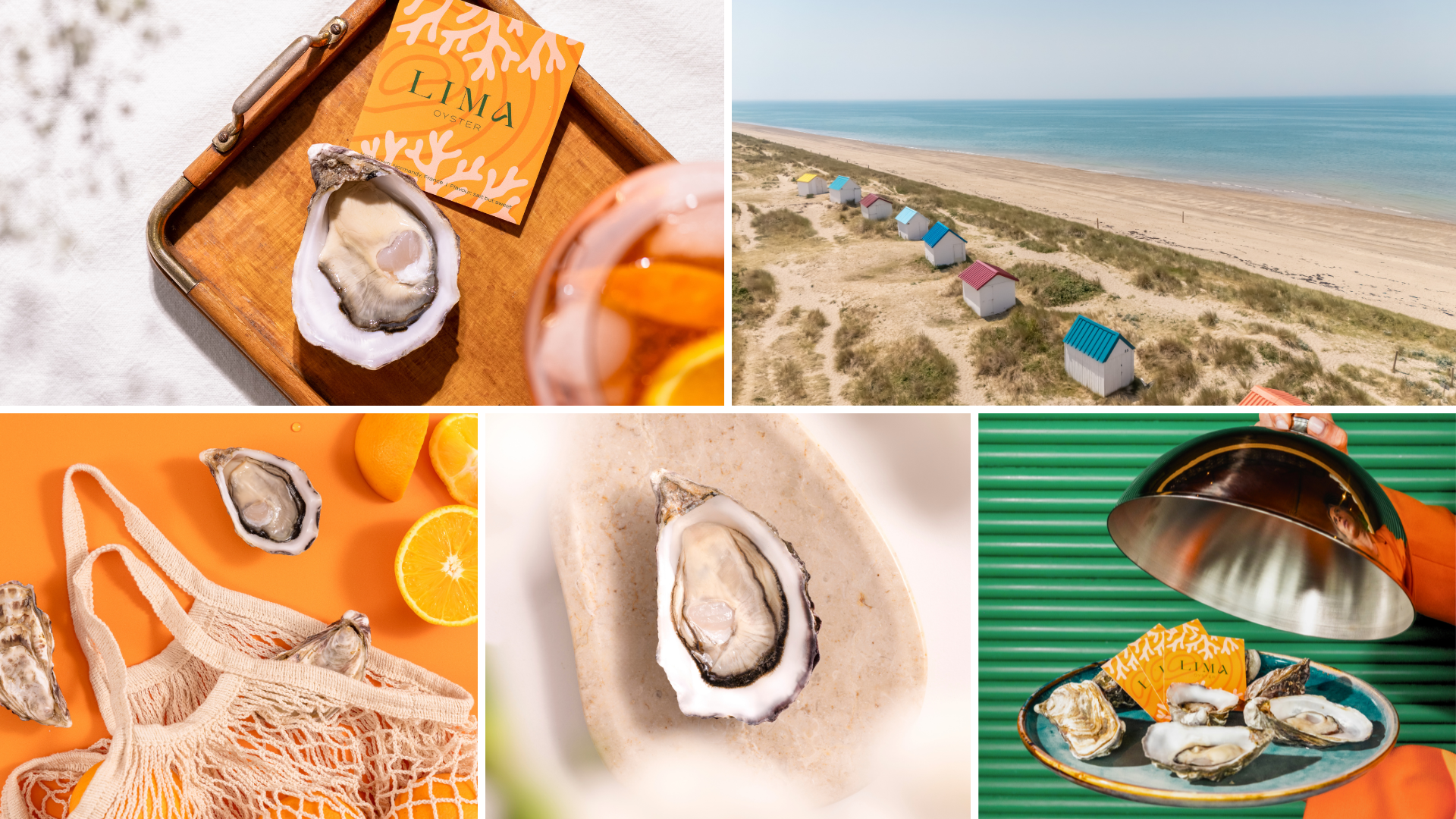 LIMA Oyster
