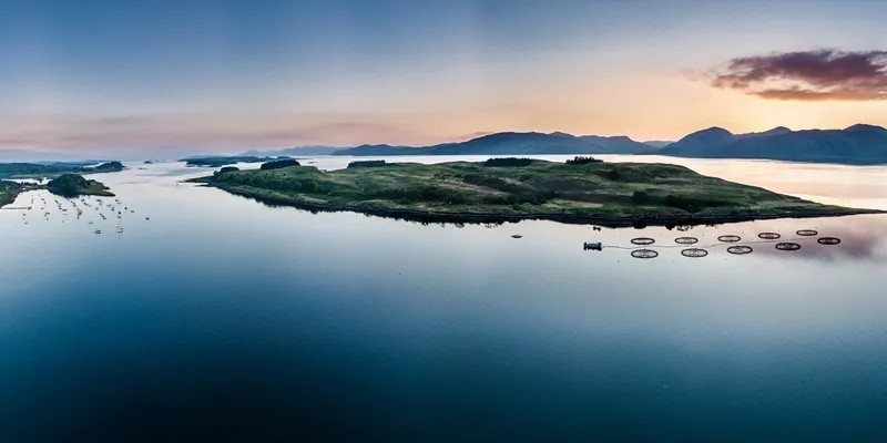 Visplek van een groothandel vis, vanaf afstand gefotografeerd