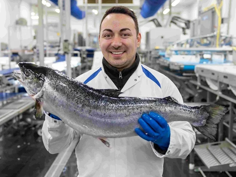 Medewerker van een visgroothandel Nederland met een vis