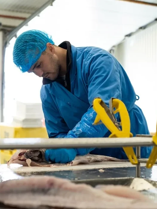 Medewerker aan het werk in de fileerlijn van een paling groothandel